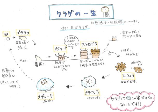 論文 Power Point 雑誌用 模式図制作 イラスト制作 ランサーズ