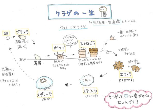 論文・Power Point・雑誌用 模式図制作