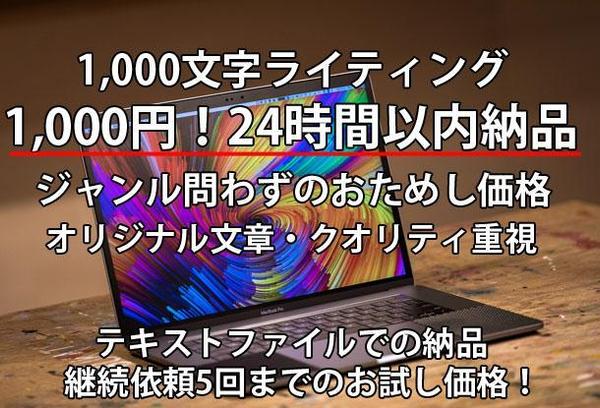 1,000文字ライティング1,000円テキストファイル納品★