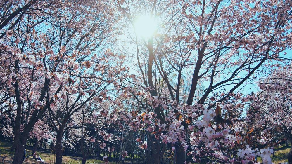 本の要約⭐︎お客様の現状をインプットし、お客様にフォーカスした要約を致します。