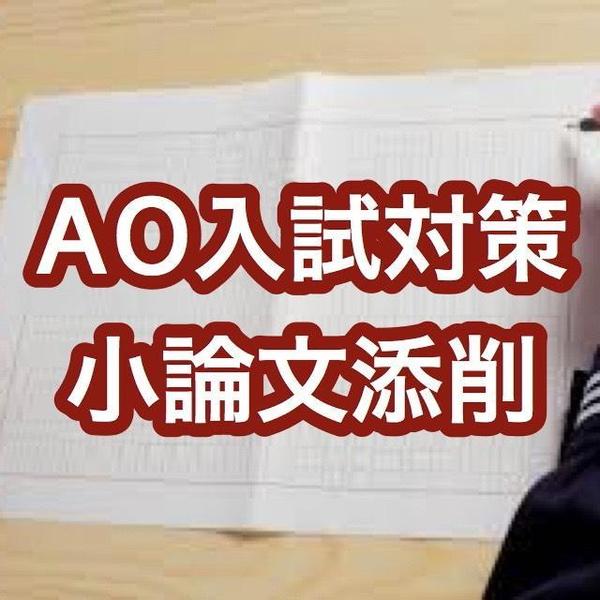 【大学入試AO対策・早稲田政経】小論文添削と受験・学習相談と受験プラン提案セット