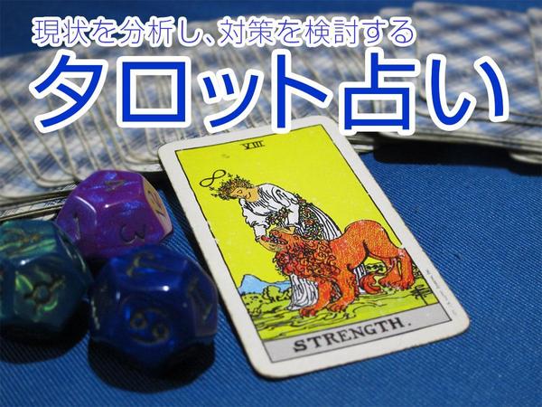 現状を分析し、解決の光を導くタロット占い