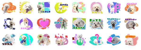 あなたのペットのLINEスタンプ（24個）