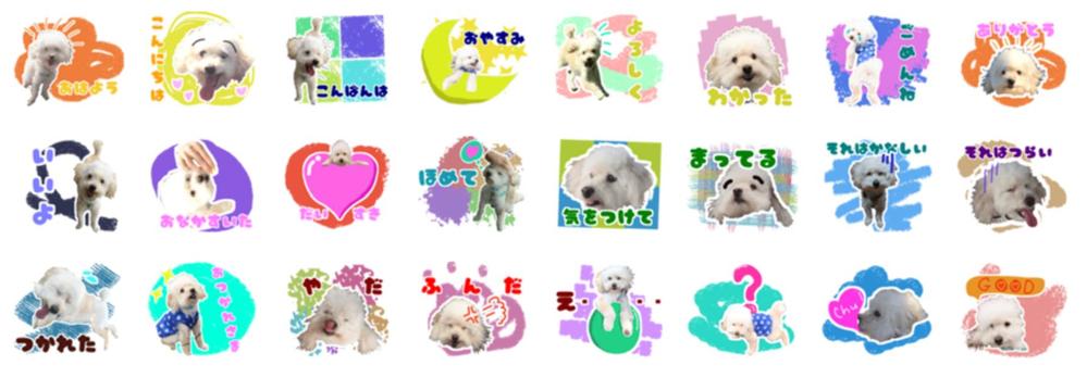 あなたのペットのLINEスタンプ（40個）