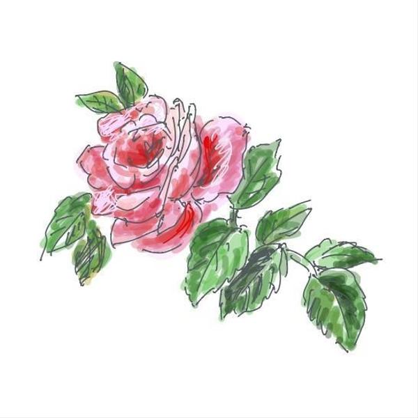 優しい雰囲気の手描きの花や植物、動物のイラスト・挿絵を作成します