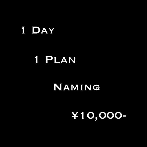 1日1案10000円ネーミング相談