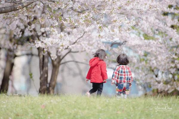 不要な物を削除したい（画像加工）