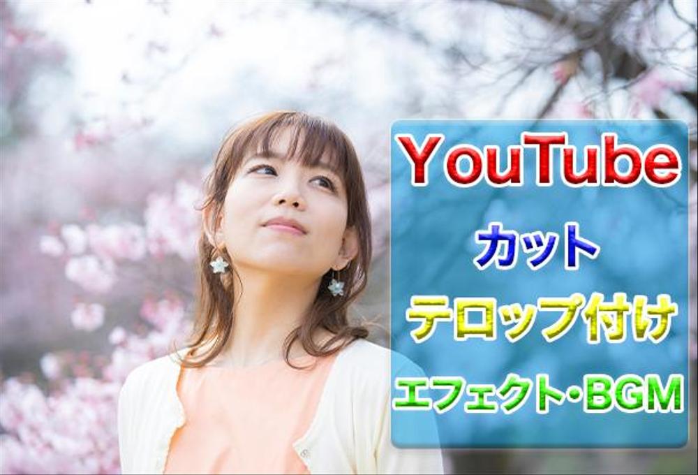 YouTube向け動画編集（カット・テロップ・エフェクト挿入）致します。