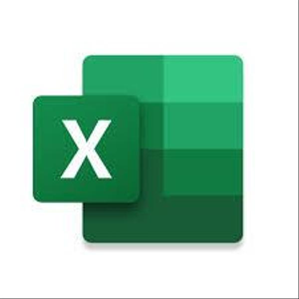 【業務効率化】あなたのEXCEL作業，自動化します！