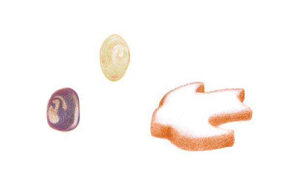 カットイラスト（色鉛筆）制作