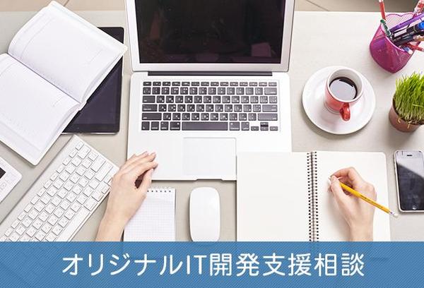 オリジナルIT開発支援相談