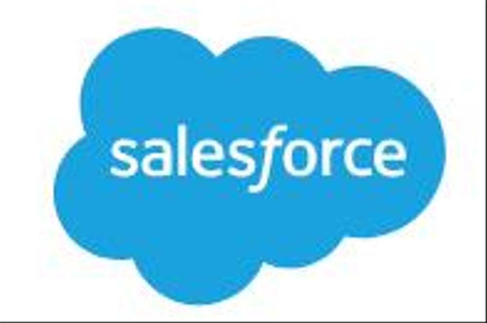 Salesforce設定サービス(Sales Cloud／Platform)