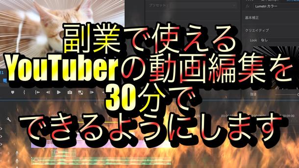 その月から使える 副業で月5 30万稼ぐ動画編集ノウハウを30分で提供します 動画作成 映像制作 動画素材 ランサーズ