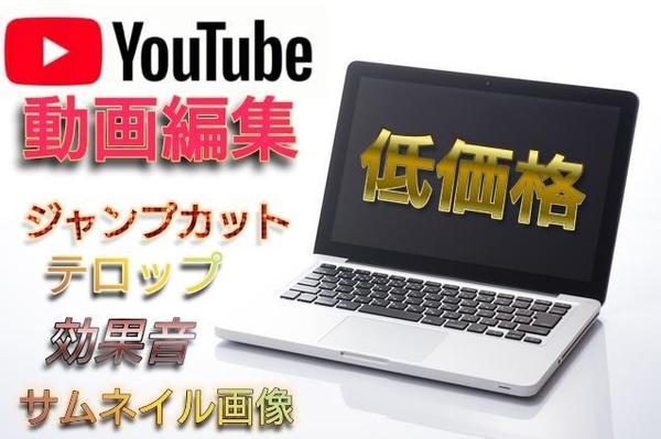 ユーチューブ動画編集（尺20分まで）