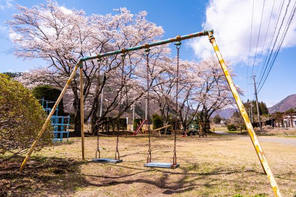 ブロガー向け_ローカル公園情報レポートを写真付きで作成します