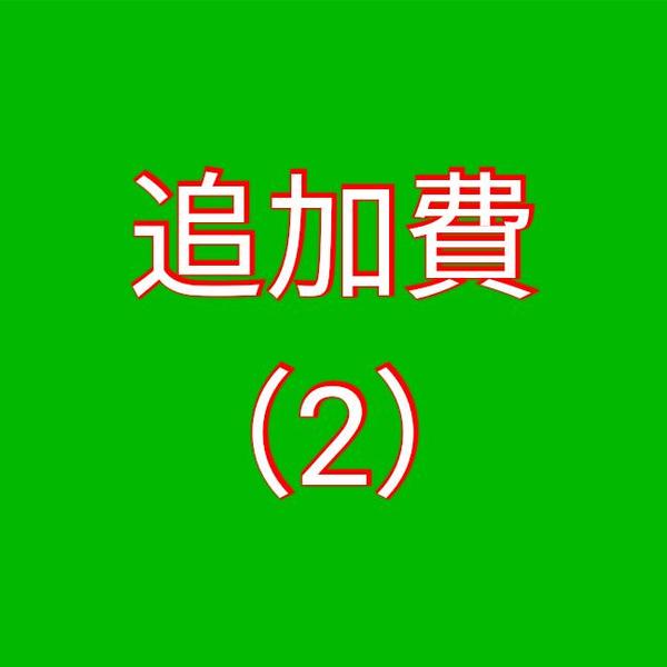 追加費【2】