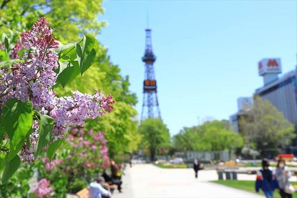 札幌に関する記事作成