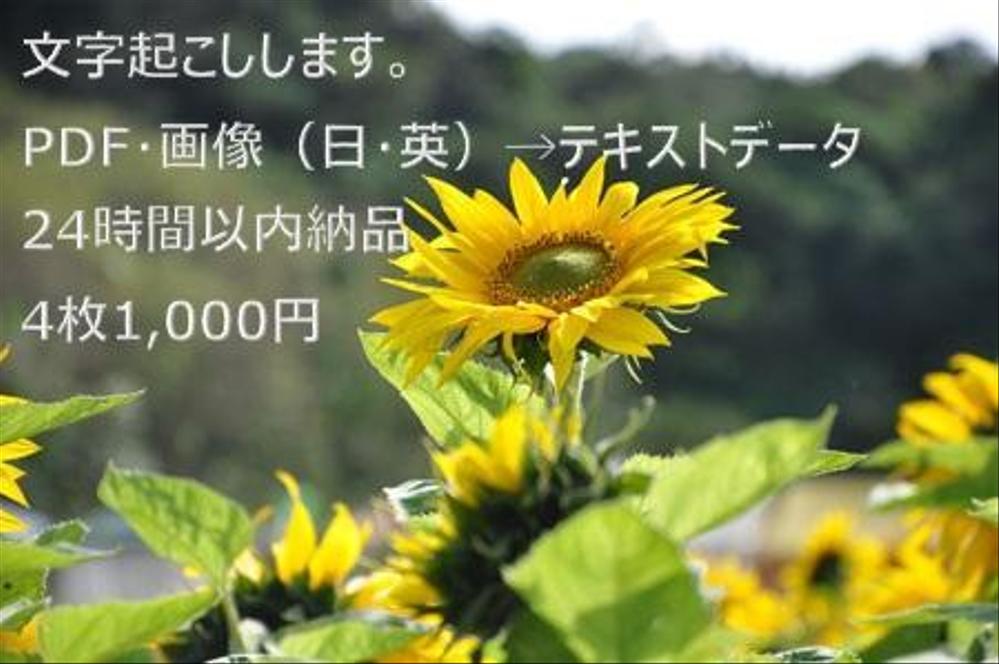 PDF・画像形式（日・英）→テキストデータ文字起こしします／4枚1,000円