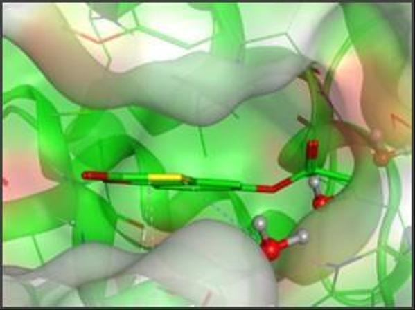 タンパク質核酸酵素の解説、実験コンサルティング、病気の発症機構などの解説