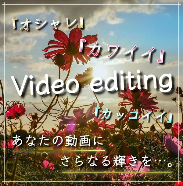 あなたのyoutube Sns向け動画編集致します 元動画10分以上15分未満 動画作成 映像制作 動画素材 ランサーズ