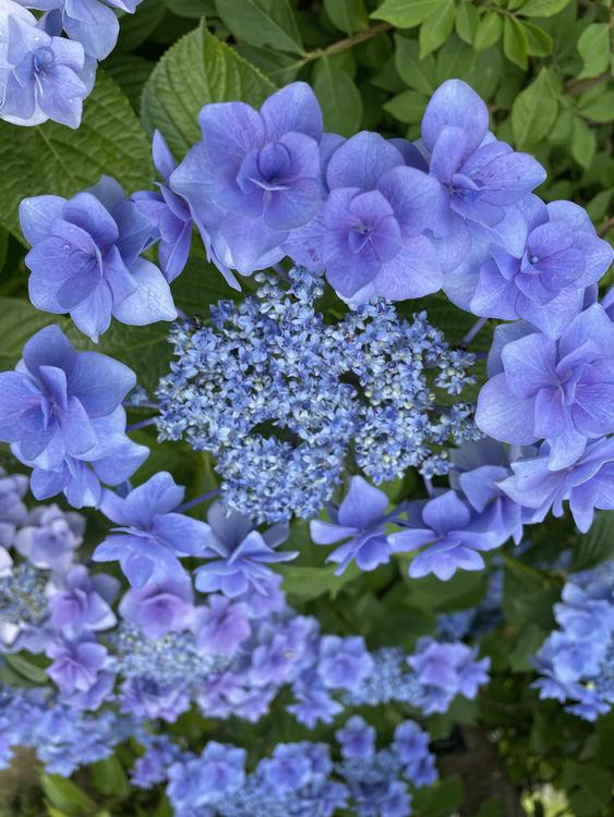 季節を感じる草花や風景の写真