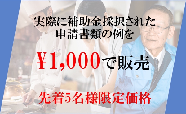 【実際に採択された申請書類】補助金テンプレ見本【最大50万円】