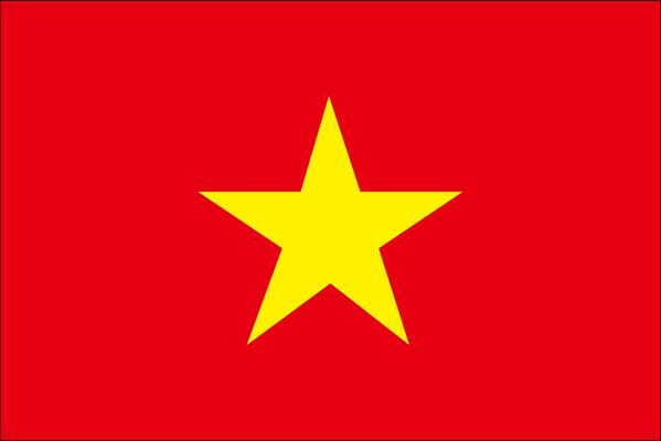 日本語⇄ベトナム語翻訳、通訳派遣、語学レッスンなど、ベトナムに関して何でもします