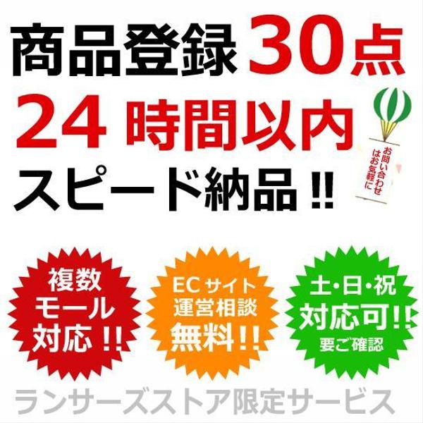 商品登録30点（ショッピングモール限定）