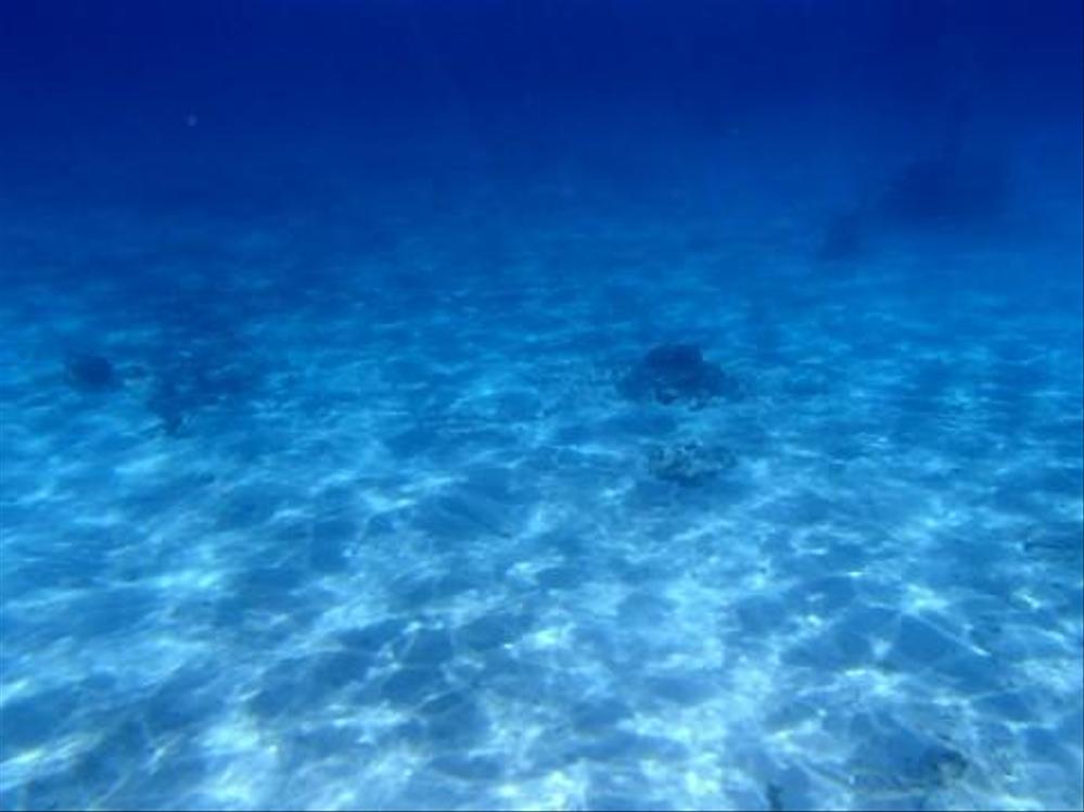 ☆気になるあの人の気持を占い☆