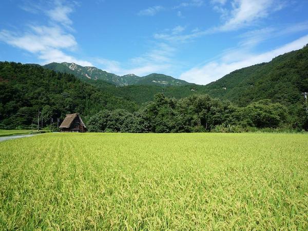 効果音・環境音を制作致します。