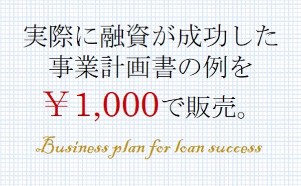 実際に融資が成功した事業計画書の見本例　日本政策金融公庫から創業融資250万円