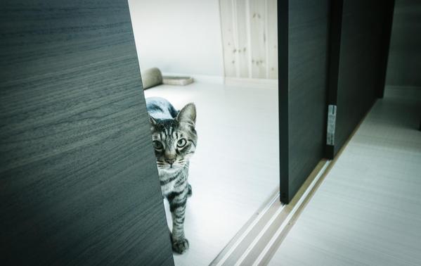 リアルな保険の実態、お話します。