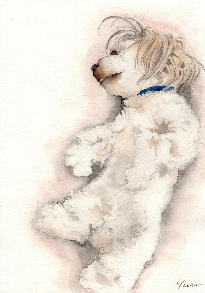 犬の絵 鉛筆画 - 絵画