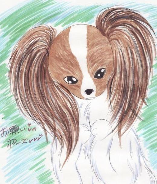 ペット 動物のイラスト描きます イラスト制作 ランサーズ