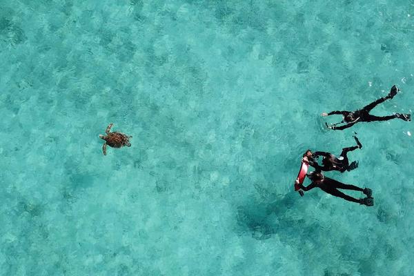 ドローン空撮（写真・ショット無制限）