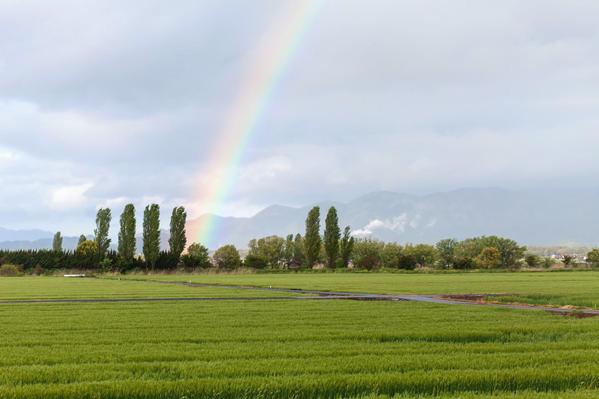 LGBTに関する記事書かせて頂きます。