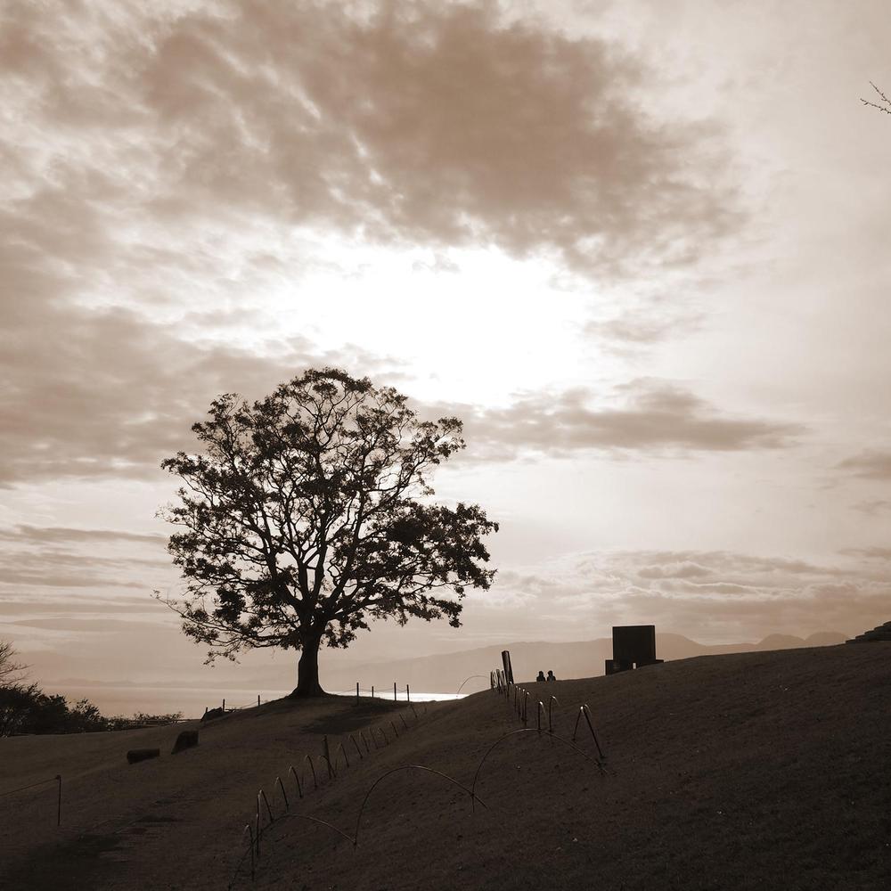 カジュアルゲームアプリ開発