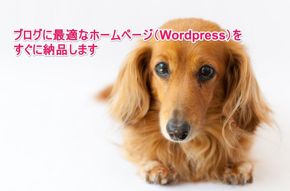 【今だけ】ブログに最適なホームページ(Wordpress)を格安ですぐ構築します