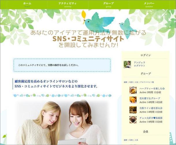 アイデア次第で無限に拡がるsns コミュニティサイトを制作致します Sns作成 ソーシャルメディア運用 ランサーズ