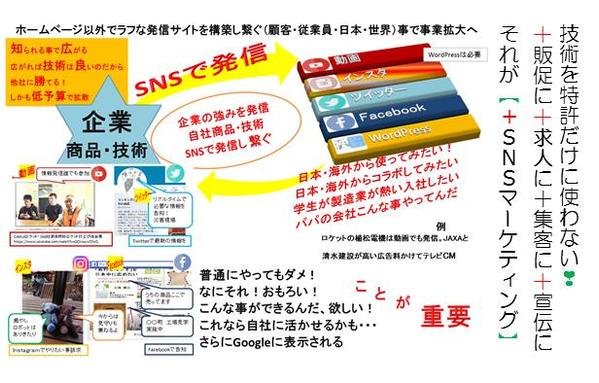 ＳＮＳマーケティング（地域活性化・商店街活性化）市に提案済