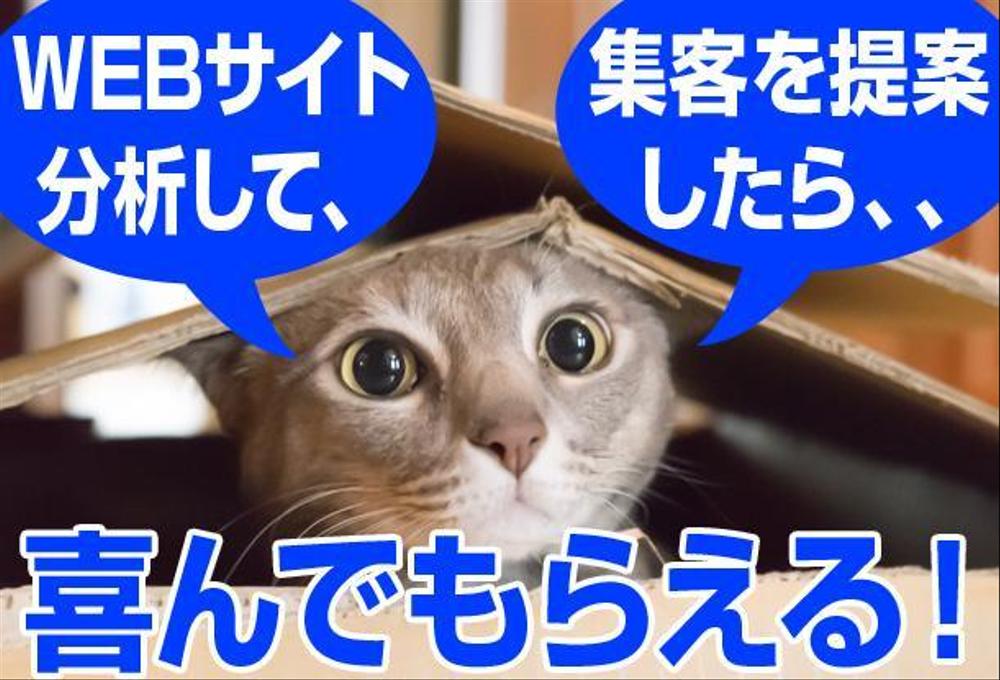 WEBサイトを診断させて下さい！　WEBコンサル致します。