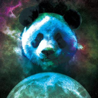 Panda Earth