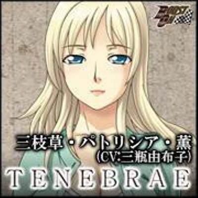 PSP サスペンスホラーノベルゲーム『闇からのいざない TENEBRAE』