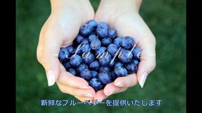 サンプル２