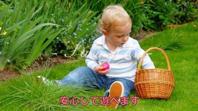 サンプル３
