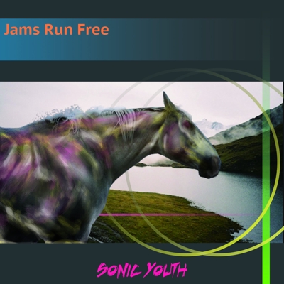 CDジャケット　Sonic youth　Jams Run Free 