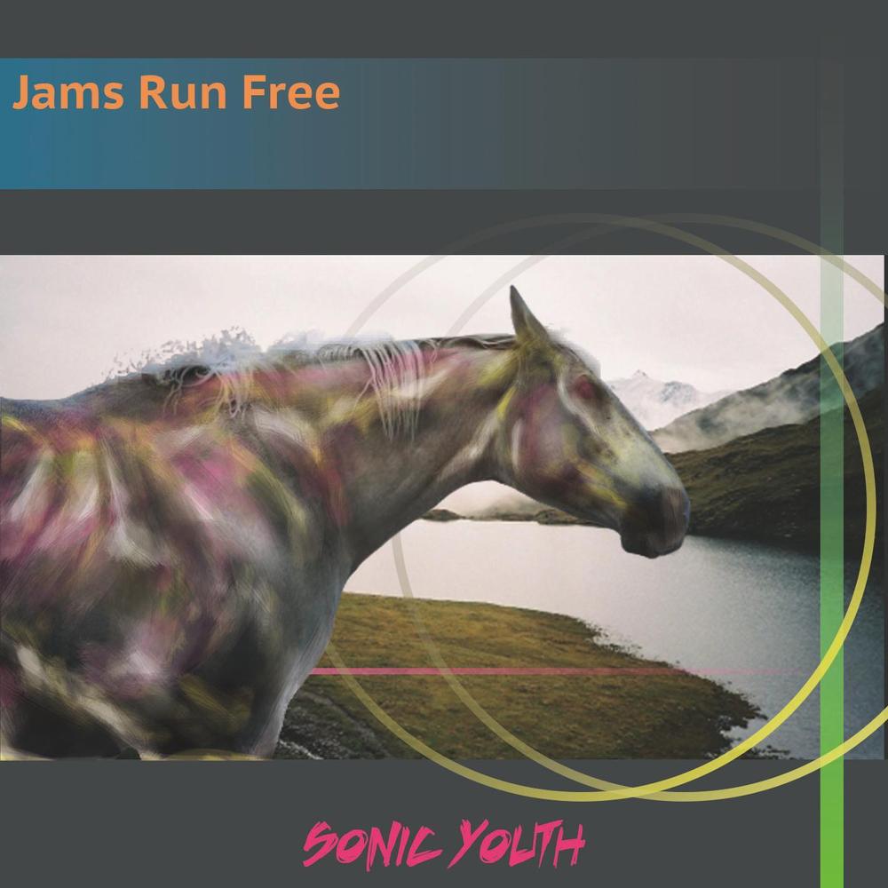 CDジャケット　Sonic youth　Jams Run Free 