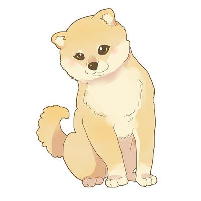 柴犬パピー