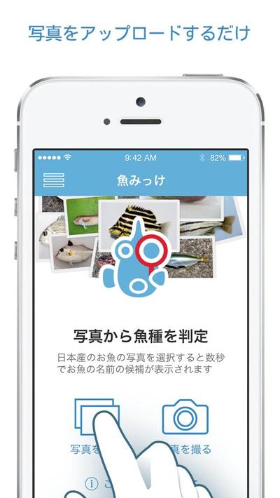 魚みっけ　画像認識によるお魚判定アプリ