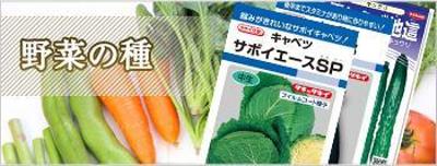 野菜の種　バナーデザイン